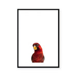 Parrot | Art Print