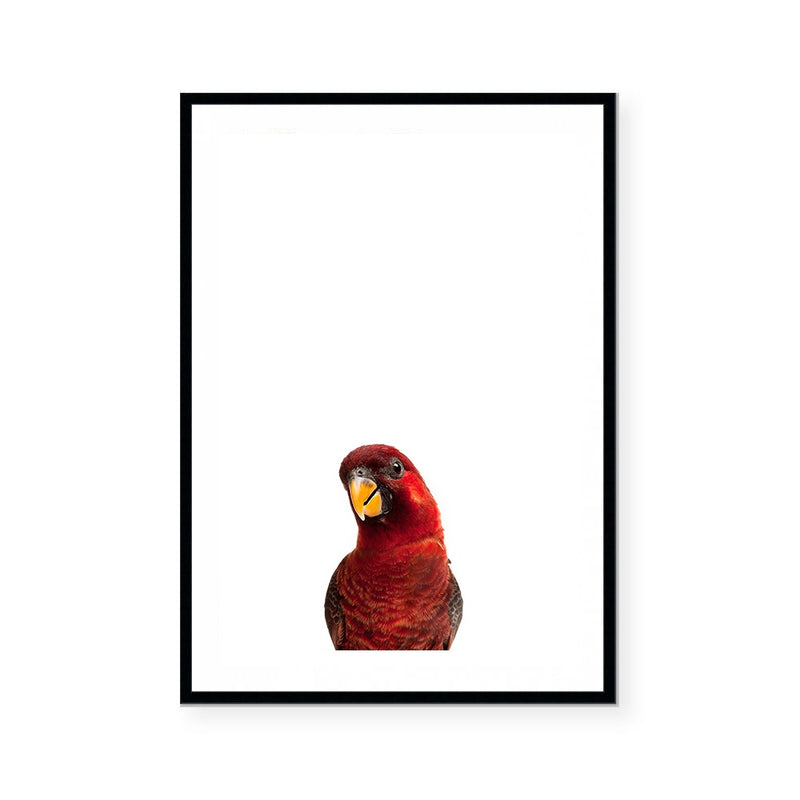Parrot | Art Print