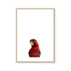 Parrot | Art Print