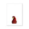 Parrot | Art Print