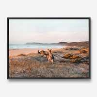 Kangaroos At Shore | Canvas Print