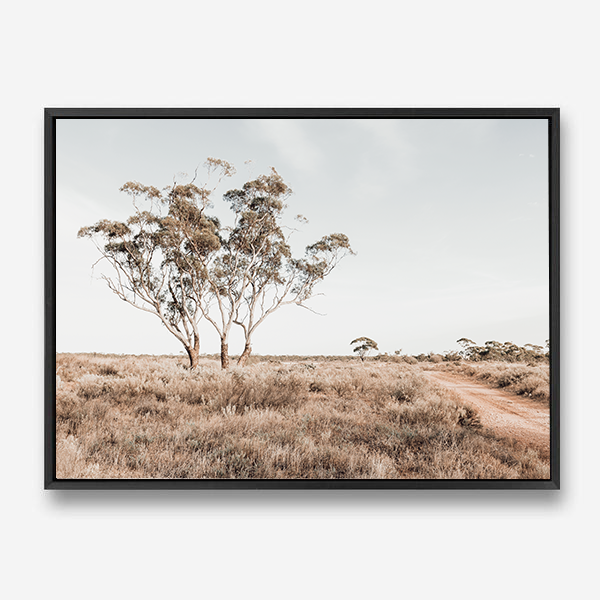 Outback Bush | Australian Landscape | Canvas Print