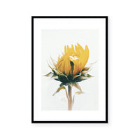 Sunflower | Art Print