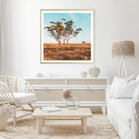 Outback Bush | Australian Landscape | Square | Art Print