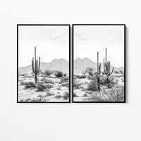 Desert Cactus | Canvas Print