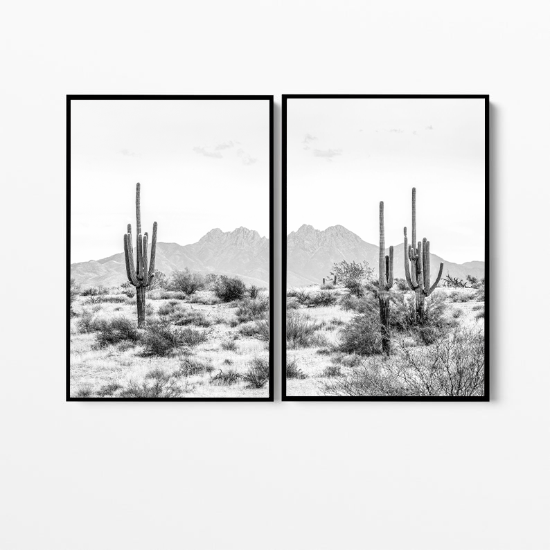 Desert Cactus | Canvas Print