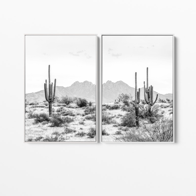 Desert Cactus | Canvas Print