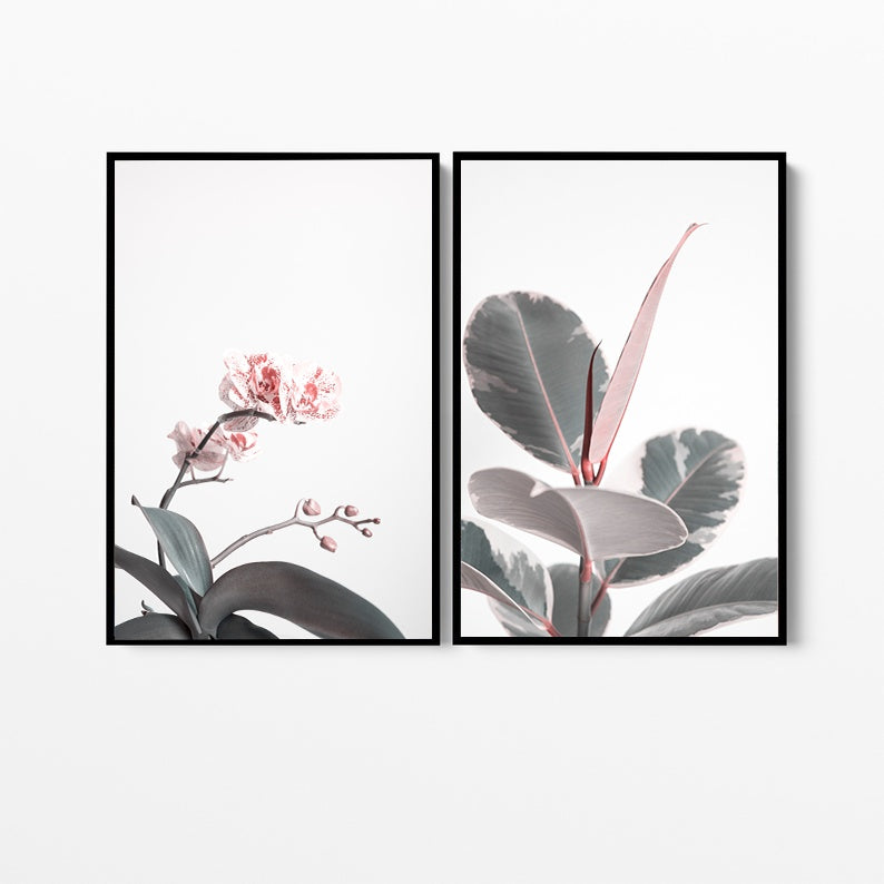 Maison | Canvas Print