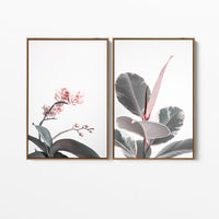 Maison | Canvas Print