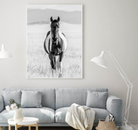 Western Wild Horse | Art Print