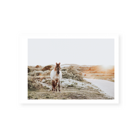 Airlie | Art Print