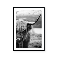 Highlander Cow | B&W | Art Print