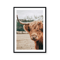 Highlander | Art Print