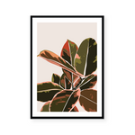 Le Ficus III | Art Print