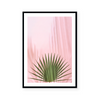 Pink Palm II | Art Print