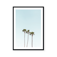 California Palms | Art Print
