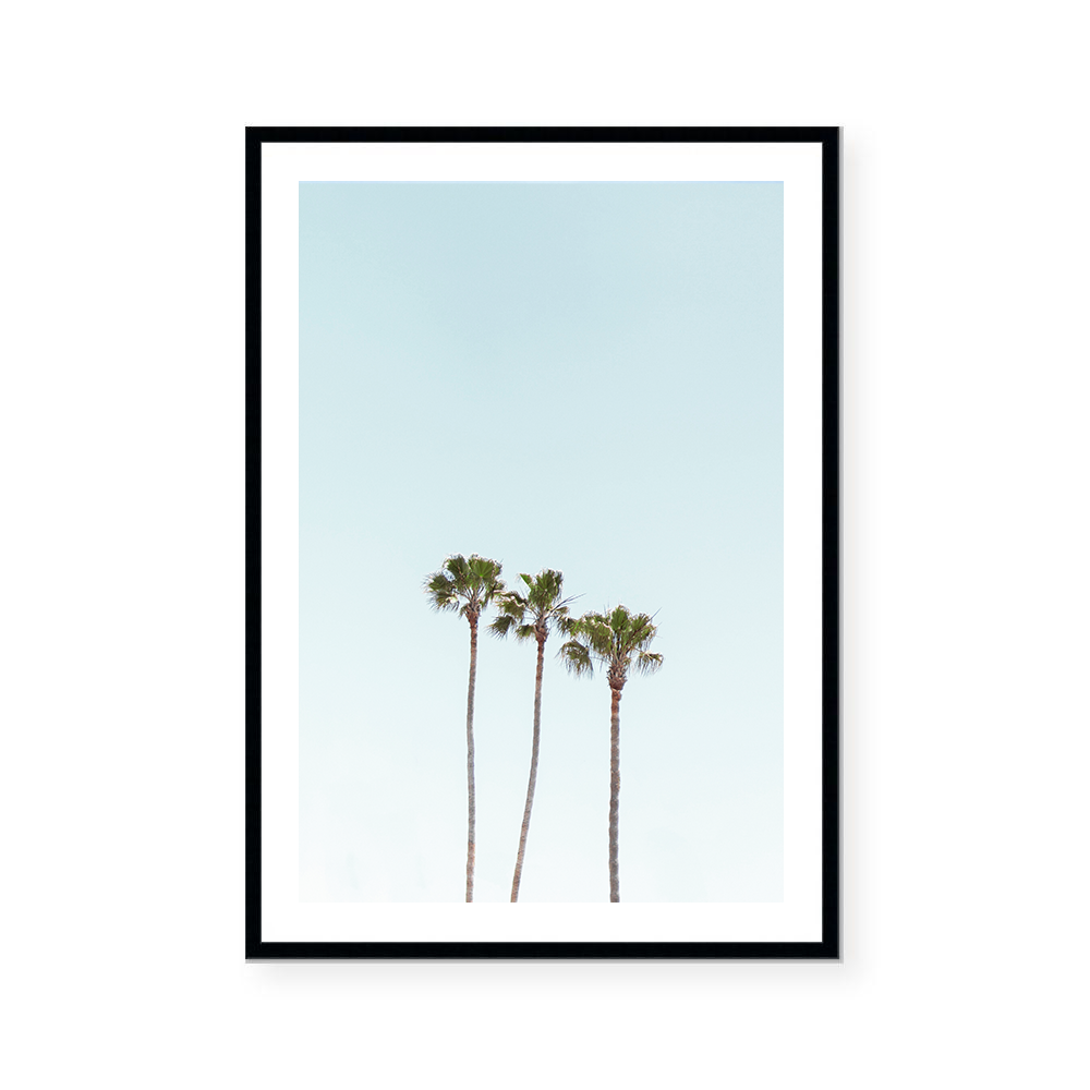 California Palms | Art Print