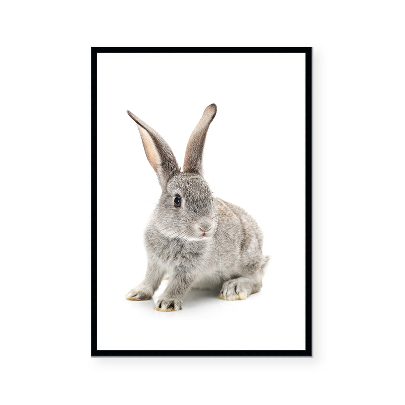 Baby Bunny II | Art Print