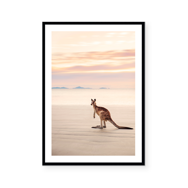 Kangaroo | Art Print