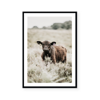 Cow | Art Print