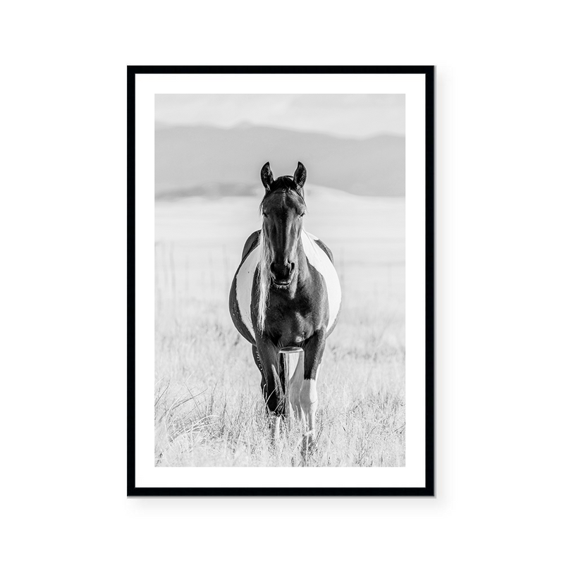 Western Wild Horse | Art Print