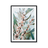 Native Flora | Art Print