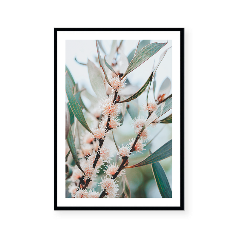Native Flora | Art Print
