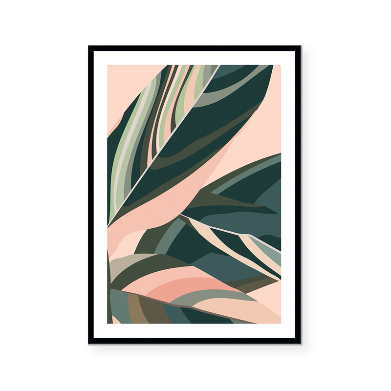 Le Ficus | Art Print