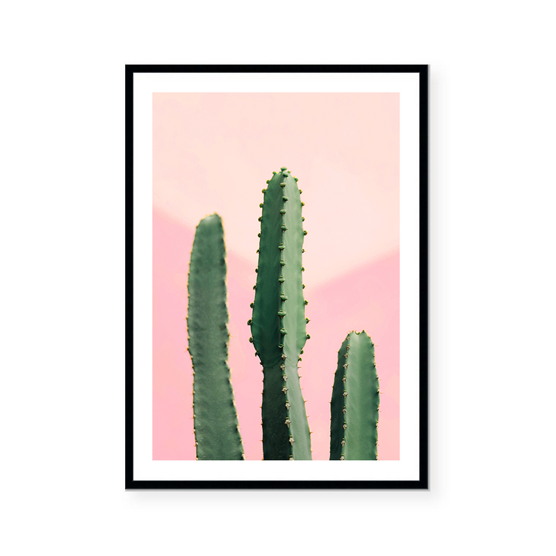 Pink Cactus | Art Print