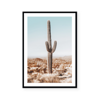 Desert Cactus Views | Art Print