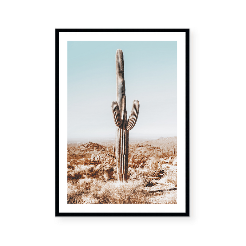 Desert Cactus Views | Art Print