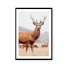 Mountain Stag II | Art Print