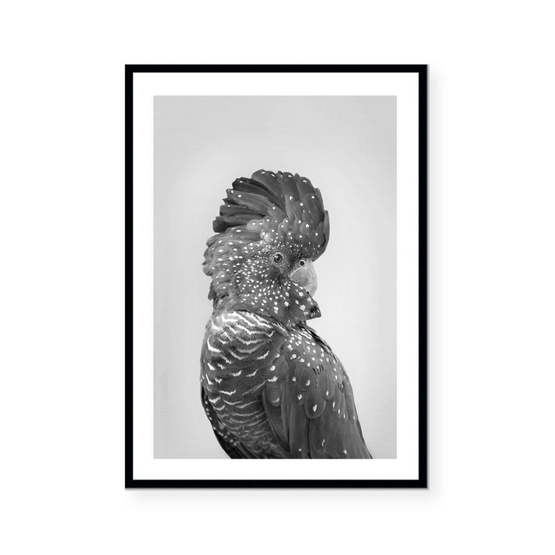 Coralie | Art Print