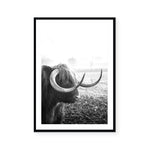 Highland Cow | Art Print