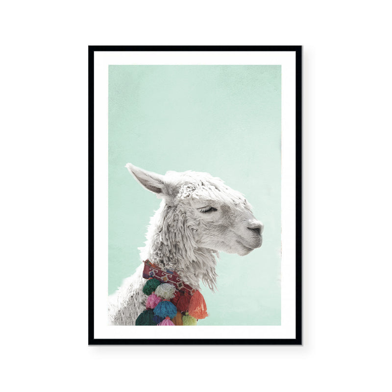 Llama | Art Print