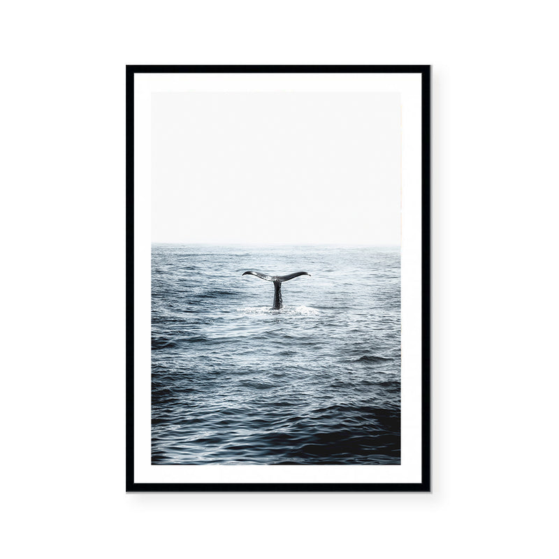 Humpback | Art Print