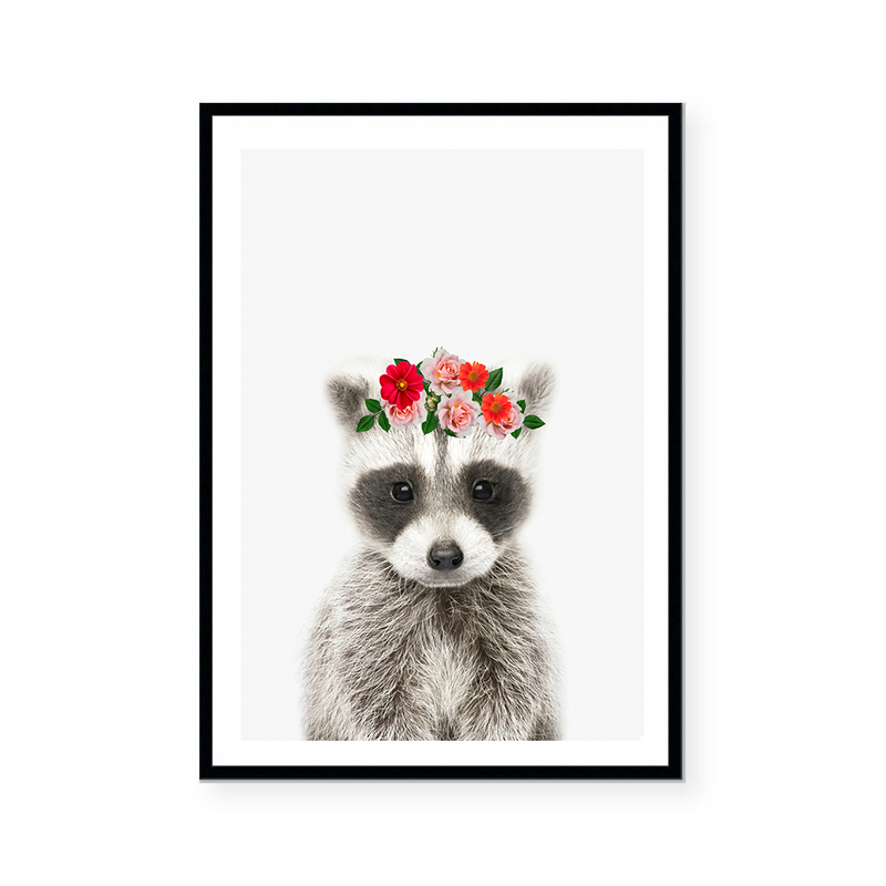 Baby Raccoon | Art Print