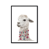 Baby Llama | Art Print