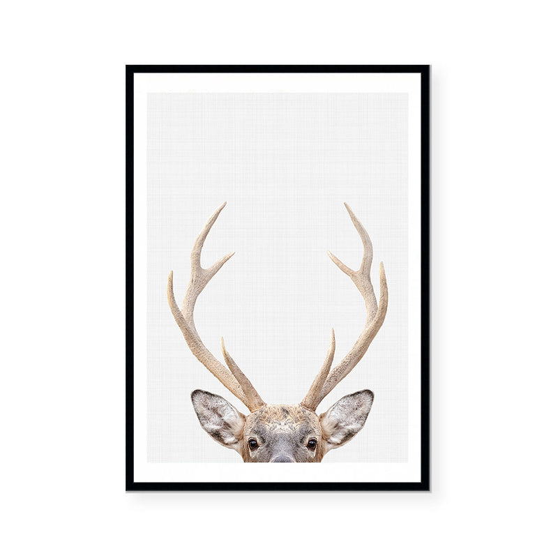 Antler | Art Print