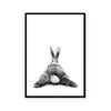 Bunny | Art Print