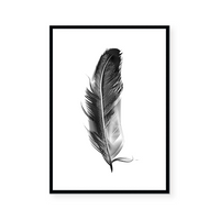 Feather | Art Print