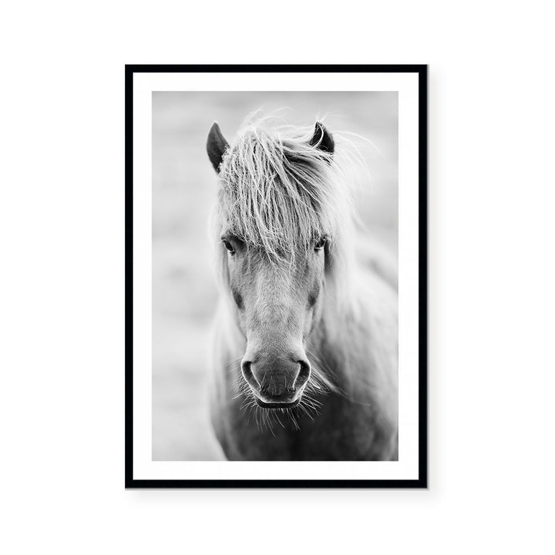 White Horse | Art Print