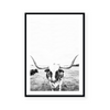 Steer | Art Print