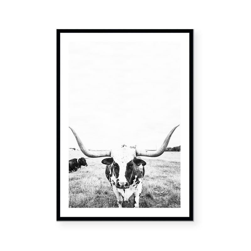 Steer | Art Print