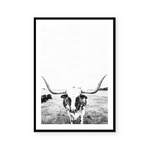 Steer | Art Print