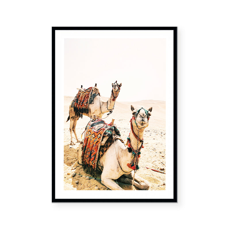 Desert Camel | Art Print