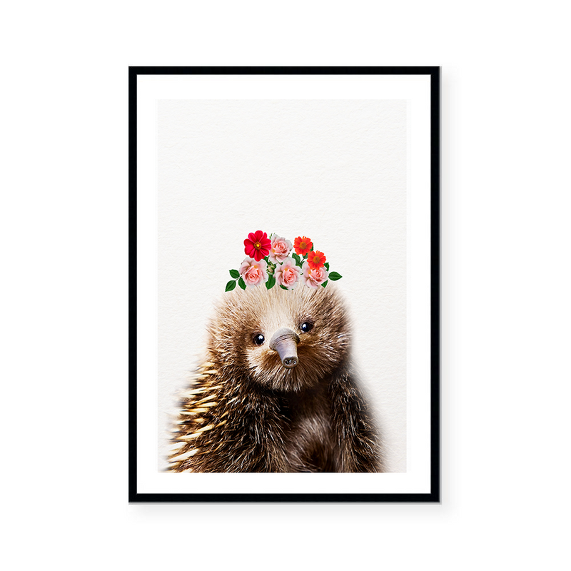 Echidna | Art Print