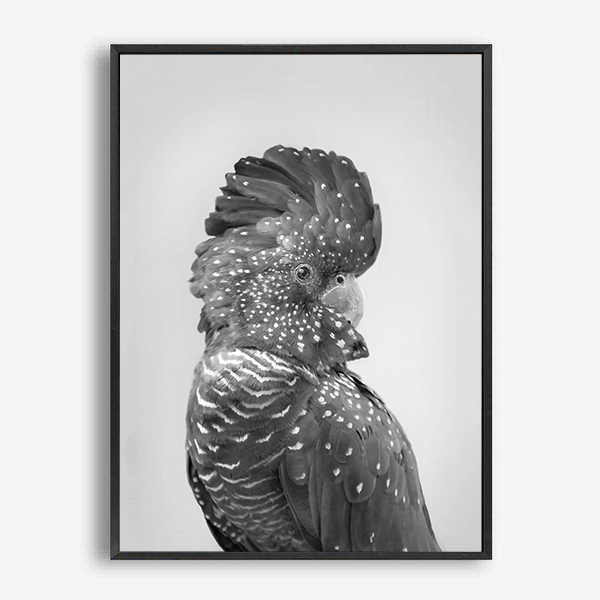 Coralie | Canvas Print