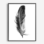 Feather | Canvas Print
