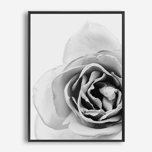 Blossom | Canvas Print